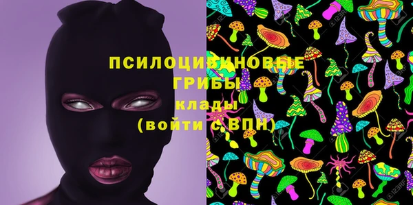 крисы Балабаново